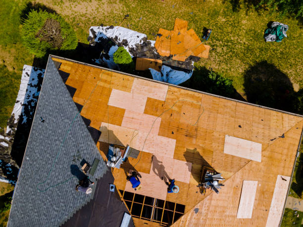 Best Roof Maintenance Services  in Manchester, GA