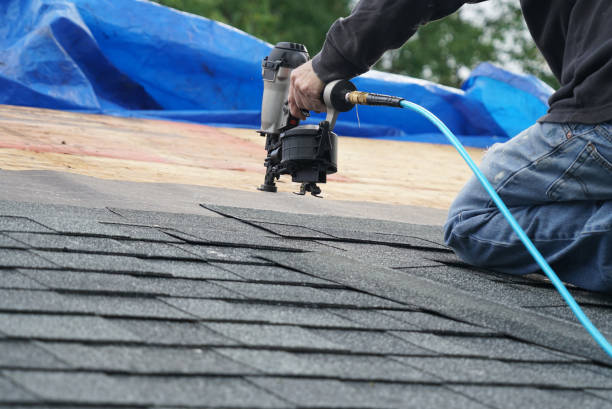 Best Roof Gutter Cleaning  in Manchester, GA